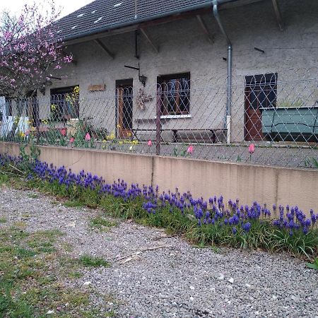 Chez Domi Syl Gite Nature Apartamento Colonne Exterior foto