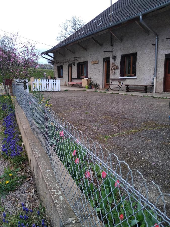 Chez Domi Syl Gite Nature Apartamento Colonne Exterior foto